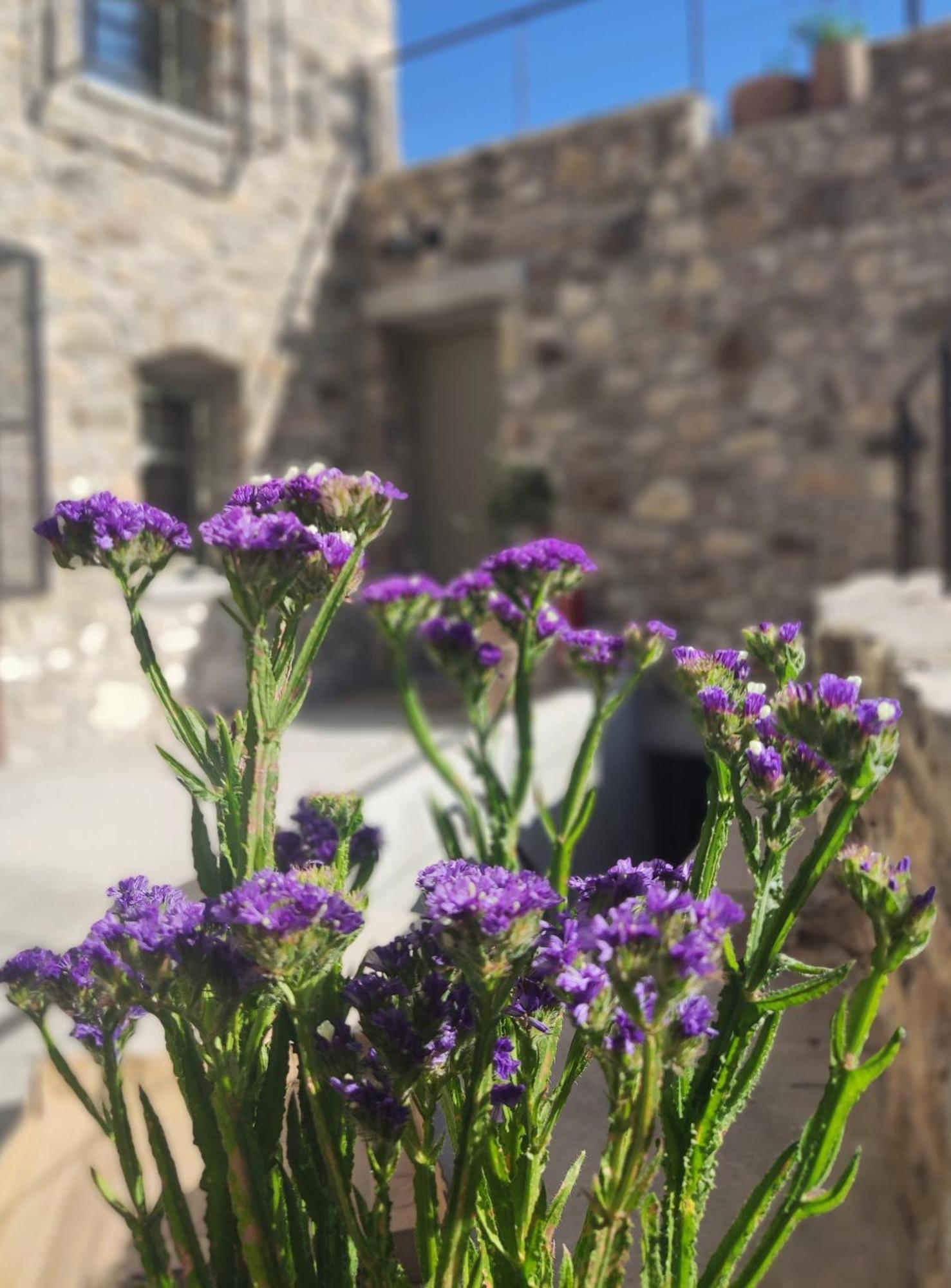 Pyrgi Cretan Living & Spa Pirgos  Exteriör bild